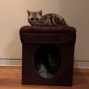 Meet your Posher, Sammy