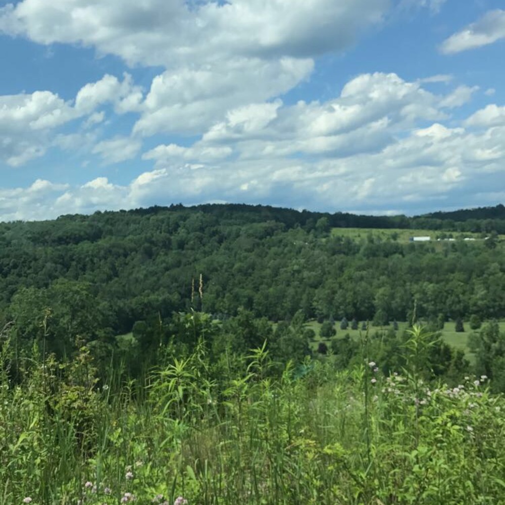 Meet your Posher, Sofia