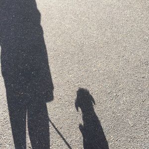 Meet your Posher, Summer