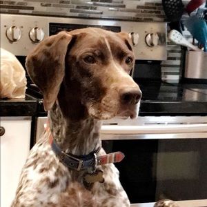 Meet your Posher, Macie