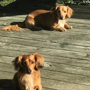 Meet your Posher, Erika