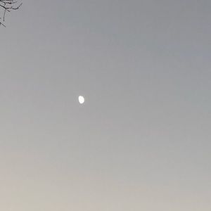 Meet your Posher, Quinn