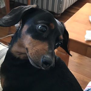 Meet your Posher, Alison