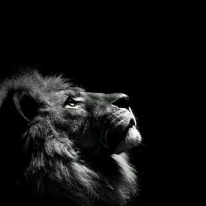 Meet your Posher, Jerome