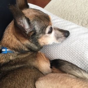 Meet your Posher, Elizabeth