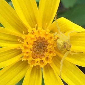 Meet your Posher, Jill