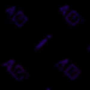 Meet your Posher, Micayla