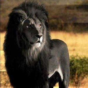 Meet your Posher, Derrick