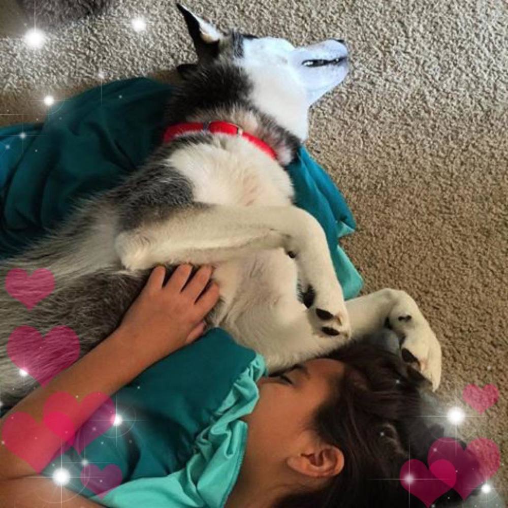 Meet your Posher, Abigail