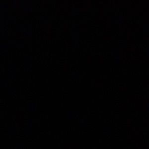 Meet your Posher, Jonni