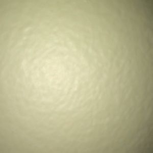 Meet your Posher, Catie