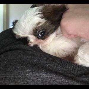 Meet your Posher, Katiana