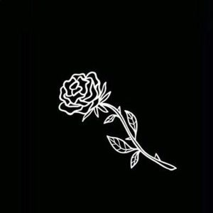 Meet your Posher, Daria