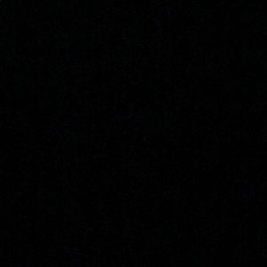 Meet your Posher, Riley