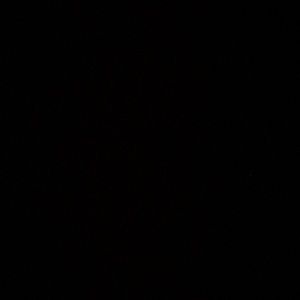 Meet your Posher, Amari