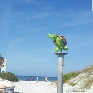 Meet your Posher, Tara