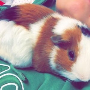 Meet your Posher, Alyssa