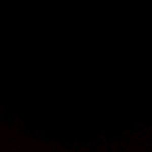 Meet your Posher, Brad