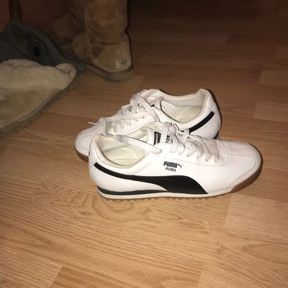 Pumas - Picture 1 of 5