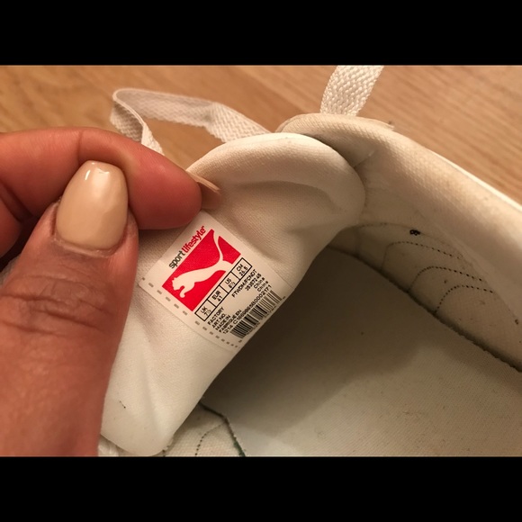 Pumas - Picture 4 of 5