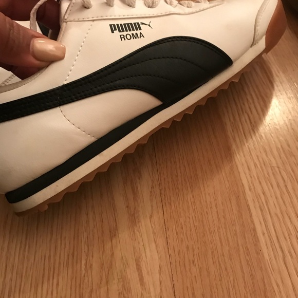 Pumas - Picture 5 of 5