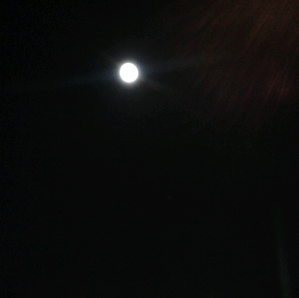 Meet your Posher, T.L.