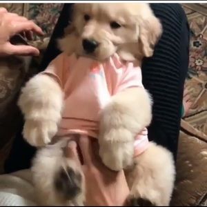 Meet your Posher, Chantal