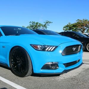 Meet your Posher, Ozzy