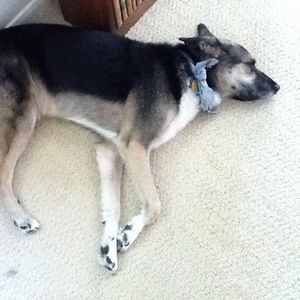 Meet your Posher, Jane