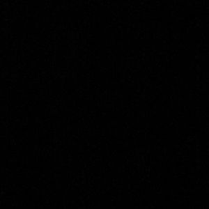 Meet your Posher, Danika