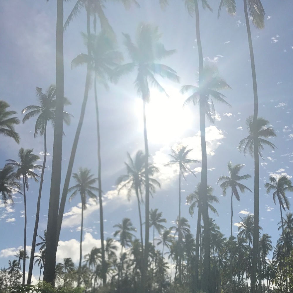 Meet your Posher, Donnell