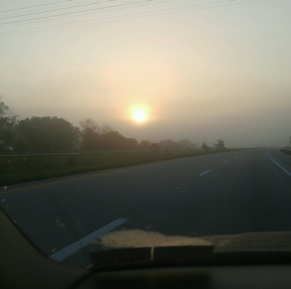 Meet your Posher, Milly