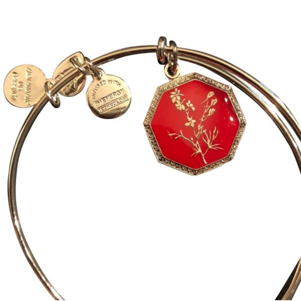🆕 Alex and Ani Bracelet. Neptune’s Protection.