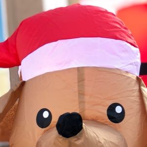 Meet your Posher, Erick