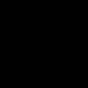 Meet your Posher, Dhiral