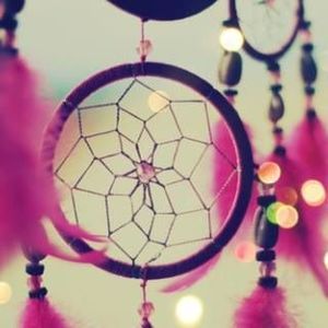 Meet your Posher, Dee