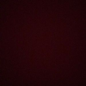 Meet your Posher, Eva