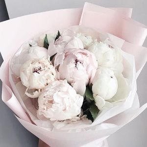 Meet your Posher, Ebony