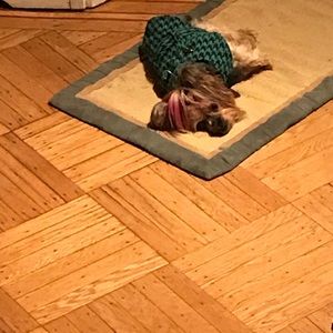 Meet your Posher, Joy