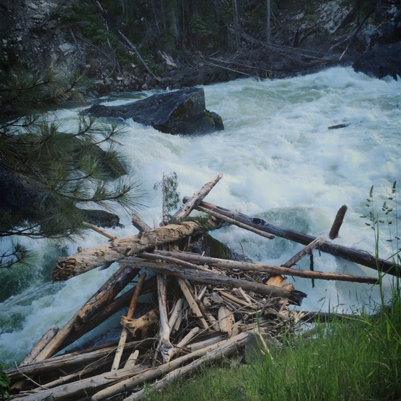 Meet your Posher, Rebecca Ball ❣️ - Picture 9 of 13