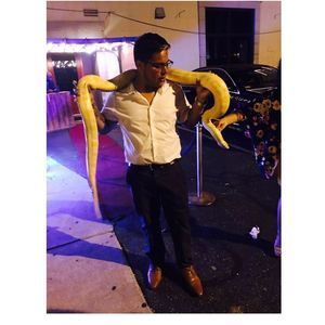 Meet your Posher, Luis