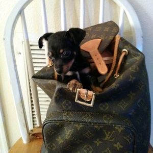 Meet your Posher, Joshua