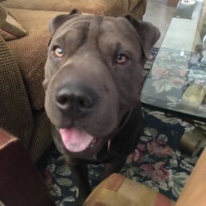 Meet your Posher, Jacob