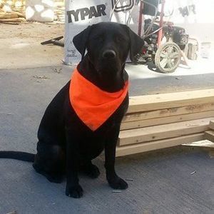 Meet your Posher, Ellen