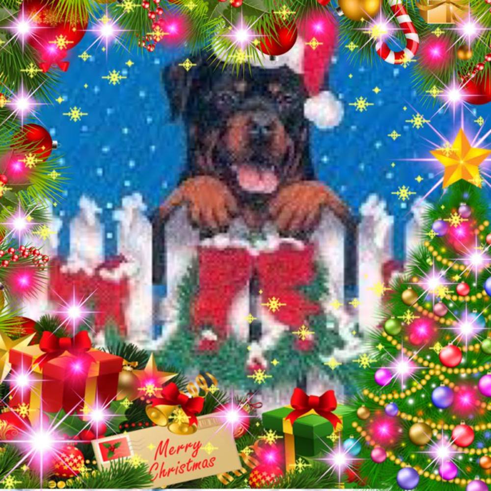 Meet your Posher, Dawn