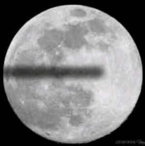 Meet your Posher, Ashlee