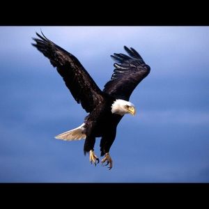 Meet your Posher, Yolanda