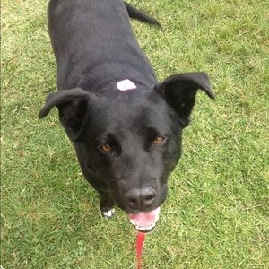 Meet your Posher, Jack