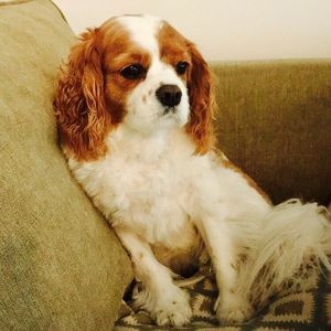 Meet your Posher, Erin