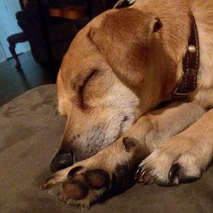 Meet your Posher, Norah